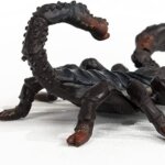 Scorpione Imperatore - Schleich