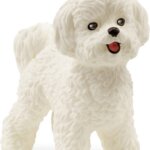 Cane Bichon Frise -Schleich