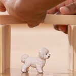 Cane Bichon Frise -Schleich