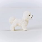 Cane Bichon Frise -Schleich