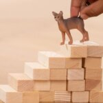 Gatto Abissino - Schleich