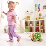 Selezionatore di Forme Tira a e Gioca - Hape