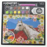 Diamantiny Cavallo - Nice