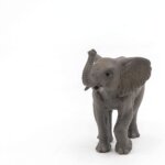 Cucciolo di Elefante - Papo