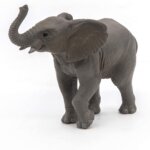 Cucciolo di Elefante - Papo