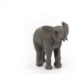 Cucciolo di Elefante - Papo