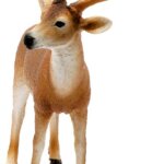Cervo Virginiano - Schleich