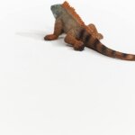 Iguana - Schleich