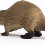 Castoro - Schleich