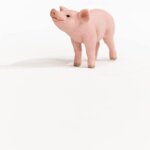 Maialino - Schleich