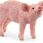 Maialino - Schleich