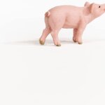 Maialino - Schleich