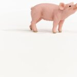 Maialino - Schleich