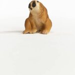 Lori Lento - Schleich