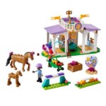 41746 AddestramentoEquestre - Lego
