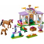 41746 AddestramentoEquestre - Lego