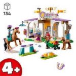 41746 AddestramentoEquestre - Lego