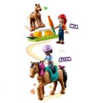 41746 AddestramentoEquestre - Lego