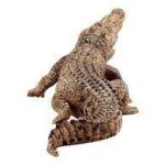 Coccodrillo - Schleich