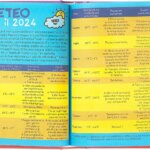 Agenda 16 M Medium Scottecs Rainbow 23/24 - Comix