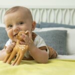 Fanfan Sophie la Giraffe - Vulli