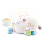 Luce Ninna Nanna Parlante - Vtech