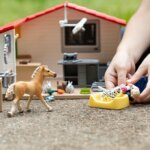 Studio Veterinario con Animali Domestici 42502 - Schleich