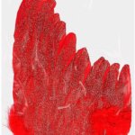 Ali Piumate Rosse con Marabou - Widmann
