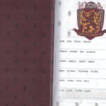Diario Standard Harry Potter 10M ND - CR Group