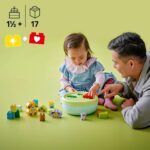10441 Smista Forme Casetta del Cuore - Lego