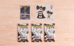Pokemon Fuoco Bianco Collezione con Adesivi - Pokemon Company