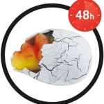 Uovo Dinosauro Grande - Buki