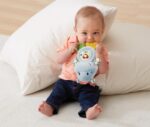 Ippo Sonaglino Massaggia Gengive - Vtech