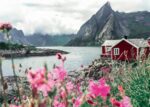 1000 pz. Lofontne Norvegia - Ravensburger