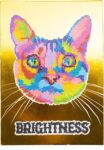 Diamantiny Level Up Gatto - Nice