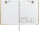 Agenda 16M Mini special Comix Silver Star 2025/2026 - Panini