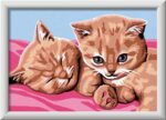 CreArt Gattini Rossi - Ravensburger