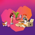 42641 Avventure Canine sul Windskate - Lego