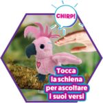 Happy Cocorito Sempre con Te - Maggio